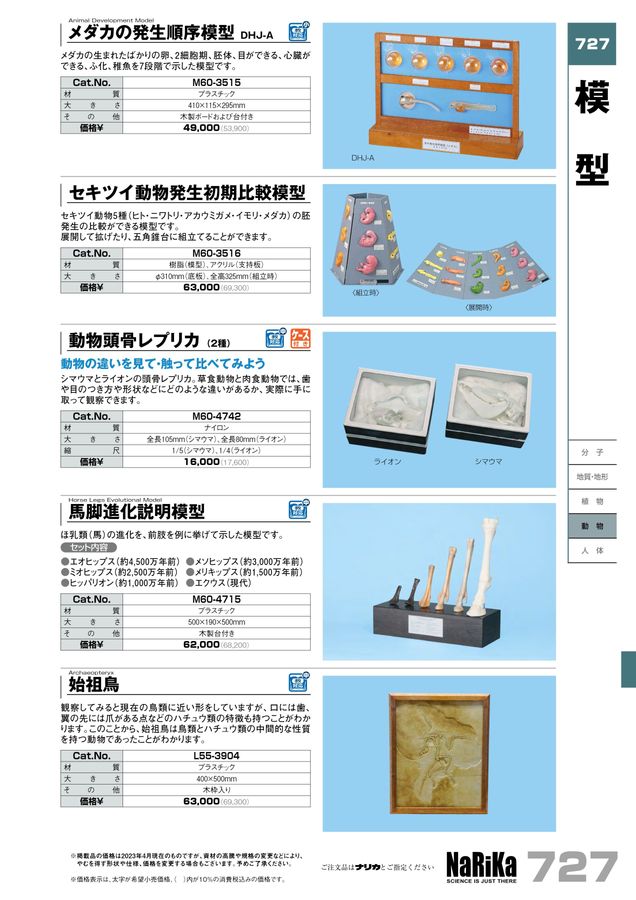 人気アイテム ゼニゴケの生活史模型 キッズ用教材・お道具箱