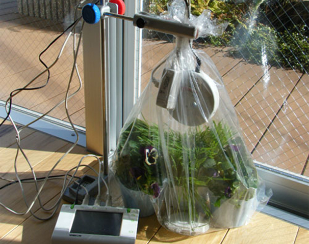植物の光合成・呼吸実験