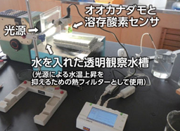 オオカナダモの光合成速度測定　飯田勇次先生